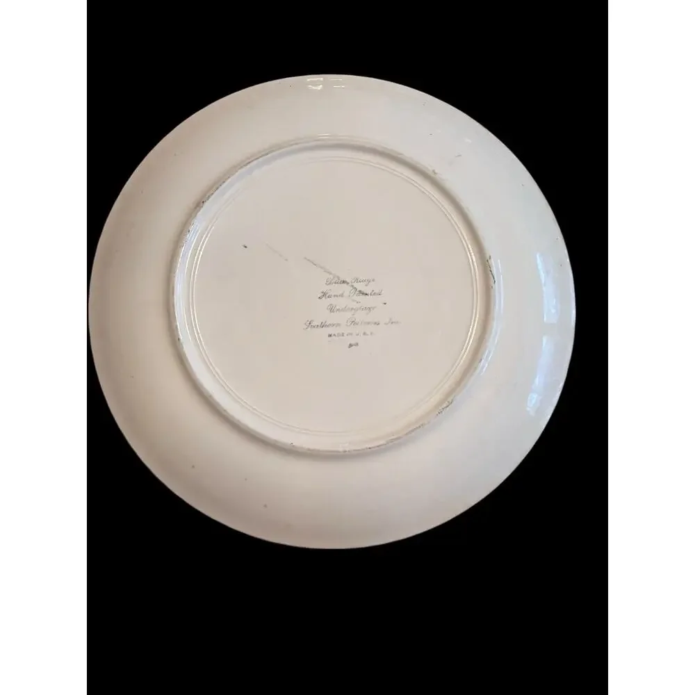 Vintage Blue Ridge Southern Pottery Plate with Flowers 9.5